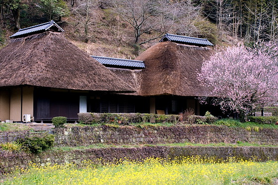 e0176993_09175220.jpg
