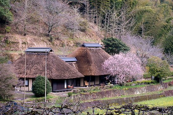 e0176993_09175243.jpg