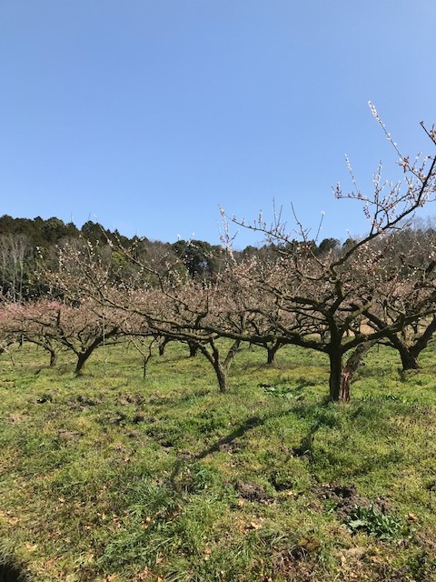 寿長生の郷_f0204295_12551655.jpg
