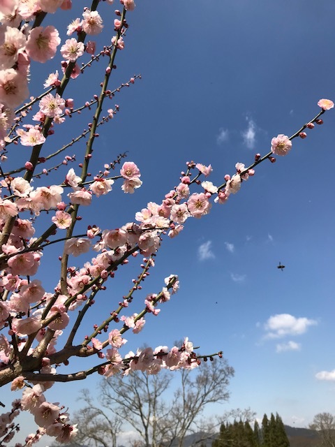 寿長生の郷_f0204295_12553083.jpg