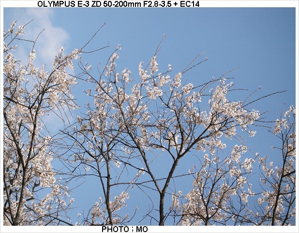 c0185705_20530166.jpg