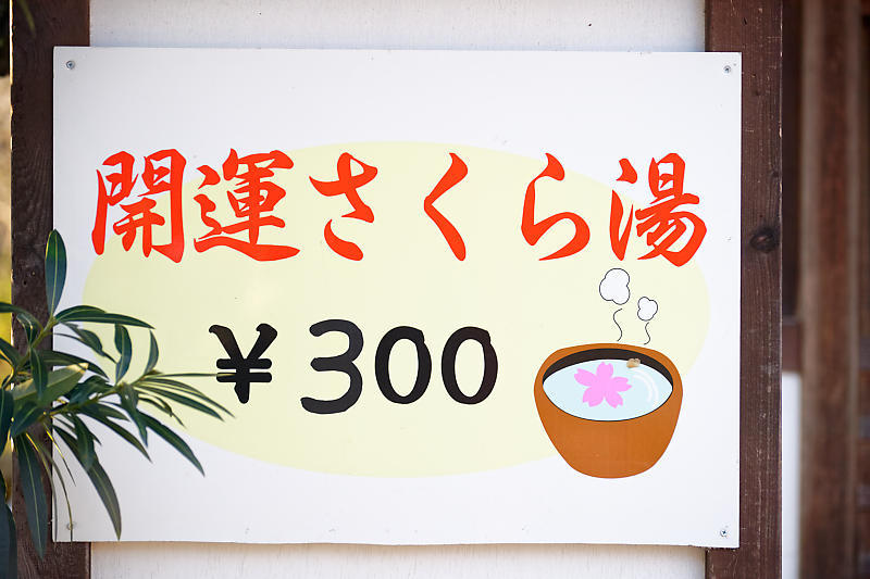 桜巡り2019@平野神社_f0032011_19394748.jpg