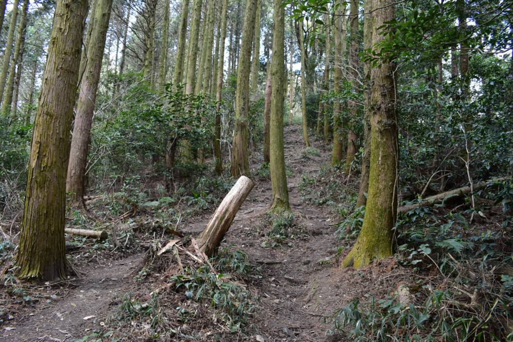 f0212511_22571528.jpg