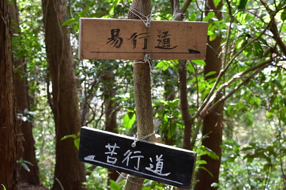 f0212511_22583032.jpg