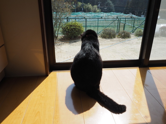 今日のくうちゃん_c0116915_23002143.jpg