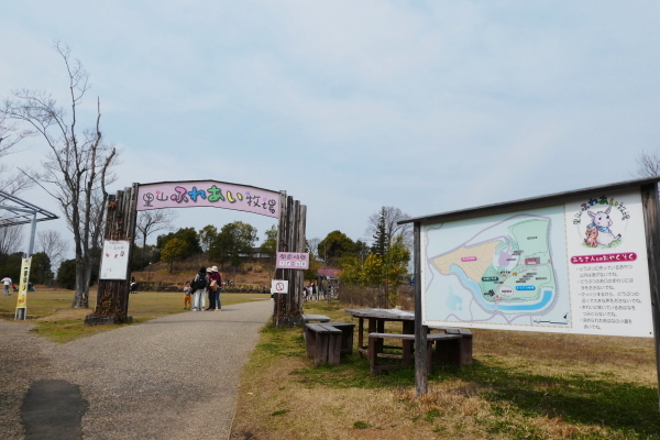 ぎふ清流里山公園散策　スワンボート_d0170615_21360532.jpg