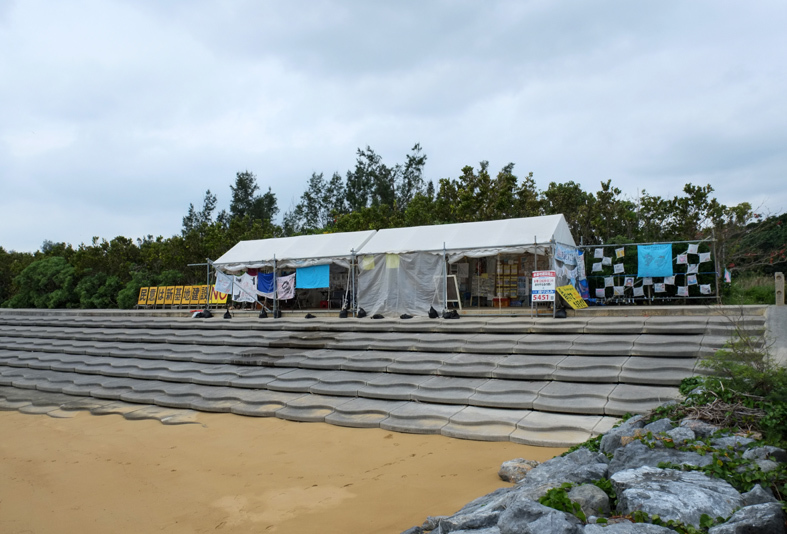 ■辺野古海岸で宝貝を探す――沖縄米軍基地ツアー_d0190217_22154462.jpg