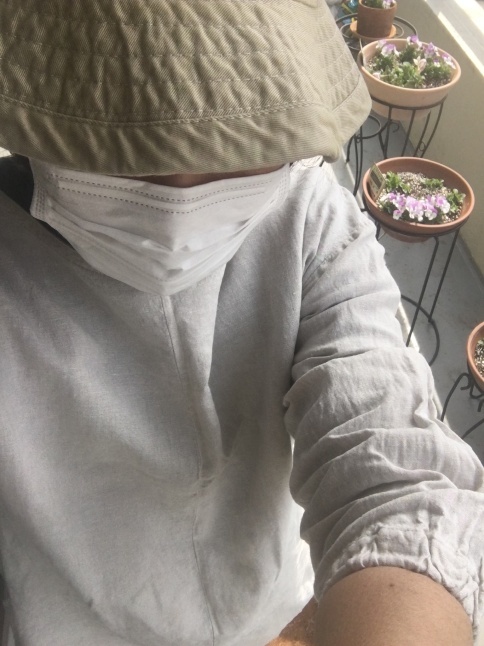 ビオラの寄せ植え_d0348118_13130909.jpeg