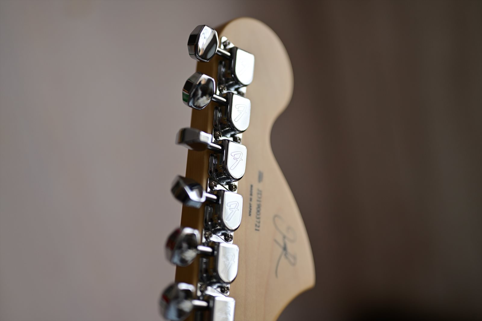 JAGUAR レリック　リバースヘッド　フロイドローズ　春畑風　Warmoth製 JAGUAR レリック リバースヘッド フロイドローズ 春畑風 Warmoth