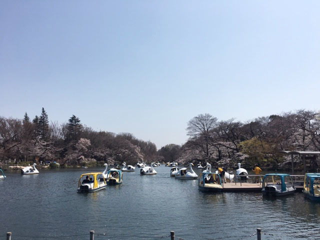 焼きたて桜餅 @末広屋喜一郎_e0208519_12090634.jpg