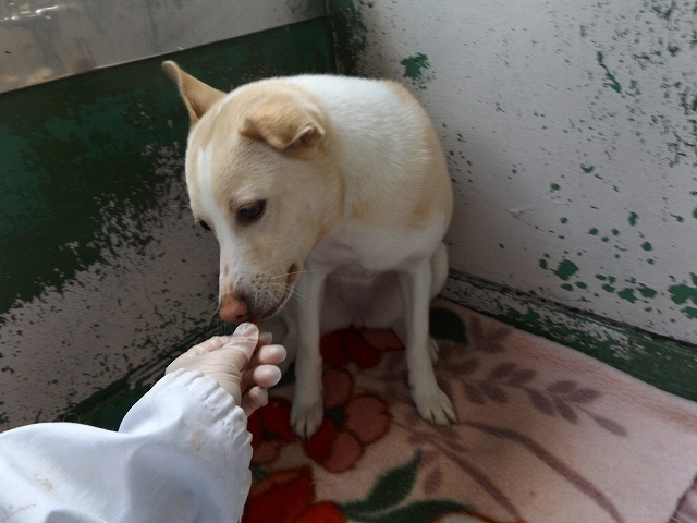 f0078320_07480093.jpg