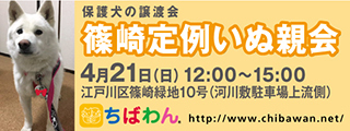 4/9引き出し編・レポート紹介犬　全　５０頭_f0078320_14163015.jpg