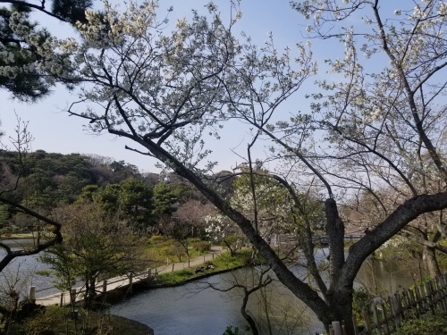眼医者仮釈放につき三渓園へ_e0016828_10512175.jpg