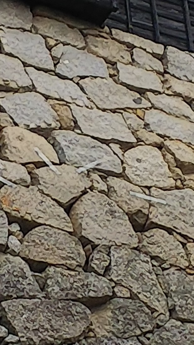 b0186130_22105328.jpg