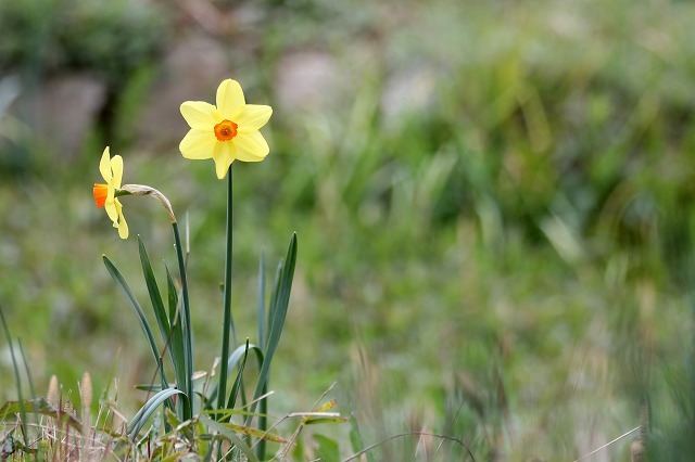 a0242438_20521917.jpg
