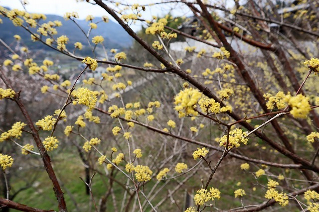 a0242438_20530634.jpg