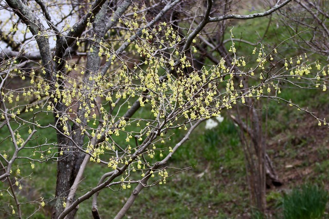 a0242438_20530686.jpg