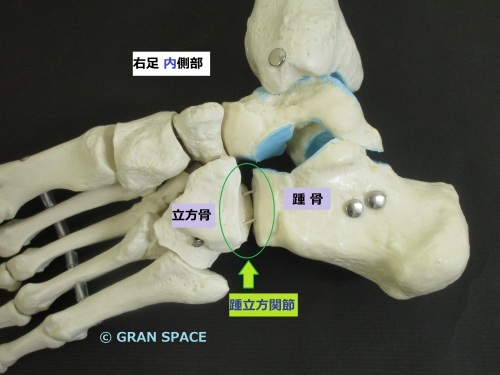 e0284739_16544998.jpg