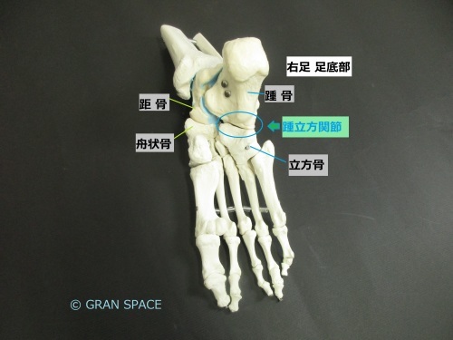e0284739_16554566.jpg
