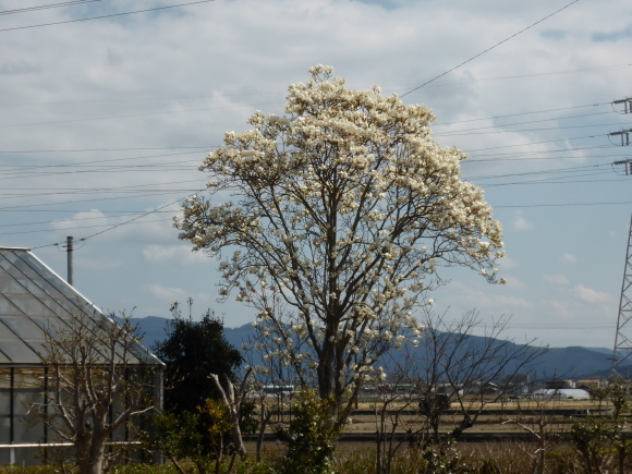 f0149240_14102464.jpg