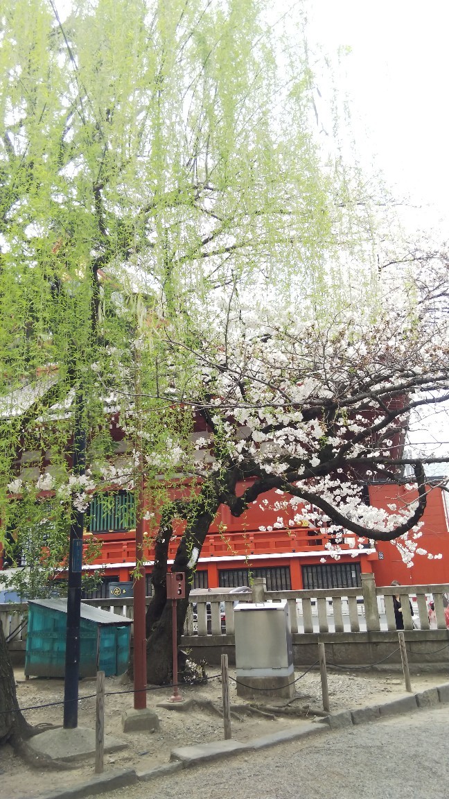 190327 水星逆行、まもなく終了!_f0164842_00182241.jpg