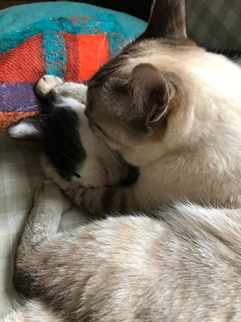 性格を撮る_d0101846_16335403.jpeg