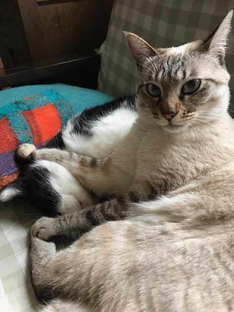 性格を撮る_d0101846_16342316.jpeg