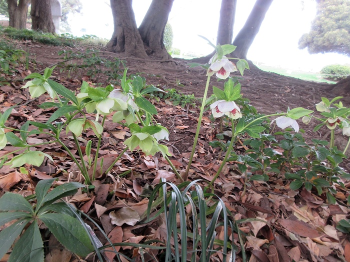 【山下公園の散歩】_b0009849_11292717.jpg