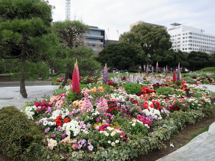 【山下公園の散歩】_b0009849_1137665.jpg