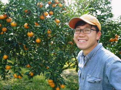 究極の柑橘「せとか」 平成31年度も大好評!今期発送予定分カウントダウンです!ご注文はお急ぎください!_a0254656_16551864.jpg