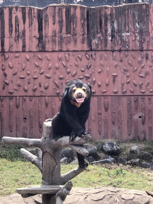 東山動物園_f0303858_11533939.jpeg