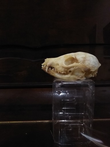 c0172261_10535902.jpg