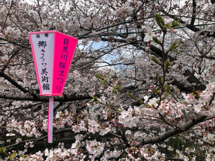 中目黒の目黒川お花見〜代官山ランチ♪_d0152261_21322795.jpg