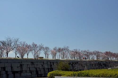 d0247262_21553990.jpg