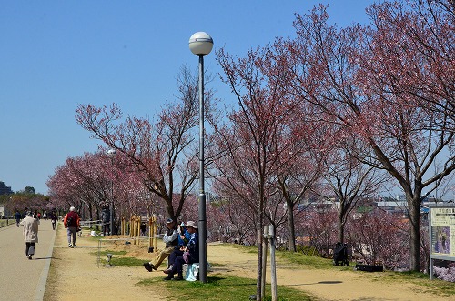 d0247262_21563034.jpg