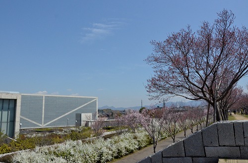 d0247262_21591260.jpg