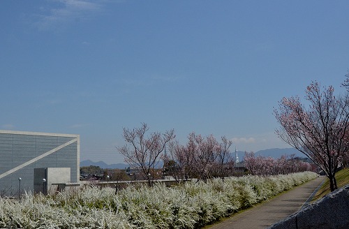 d0247262_21593253.jpg