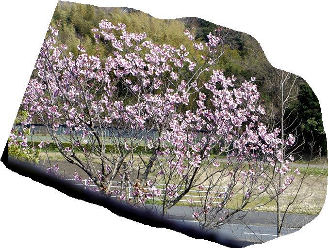 f0214467_09354617.jpg