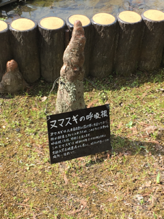 f0363168_20091678.png