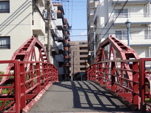 雑司ヶ谷霊園、多磨霊園のにわか墓マイラー、深川共葬墓地の行方について、amazonプライム、短期病気休養の日々:20190318-25twitterまとめ_b0116271_10524258.jpg