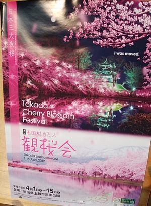 3/28  孫帰省して早8日_b0161371_10102565.jpg