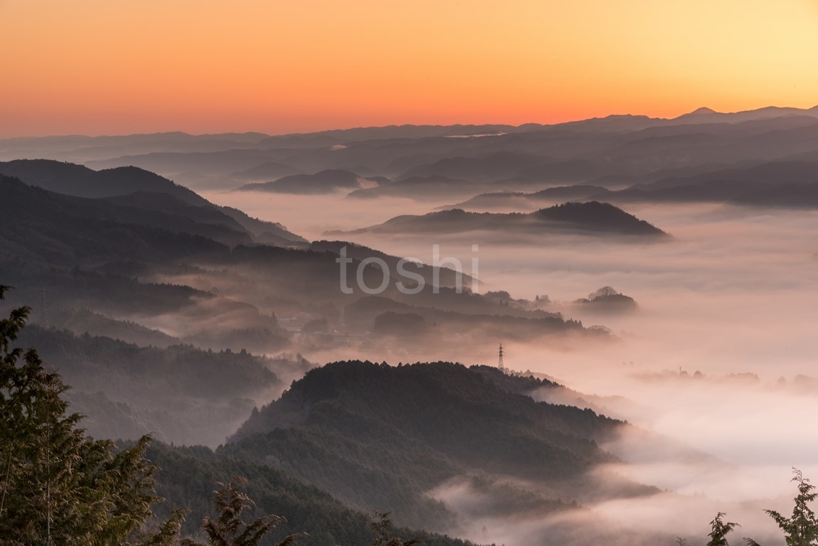 鳥見山　雲海_c0350572_21401418.jpg