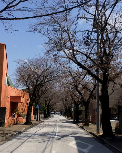小田原の海と小田原城 Makan Makanan