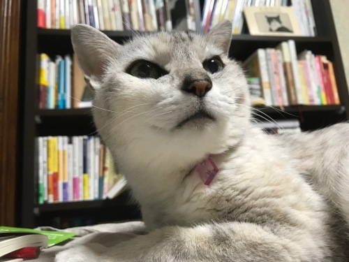 f0054677_07364343.jpeg