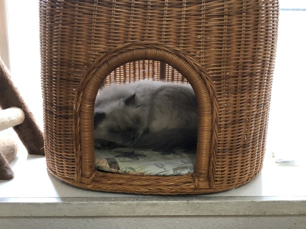 b0377882_22042315.jpeg
