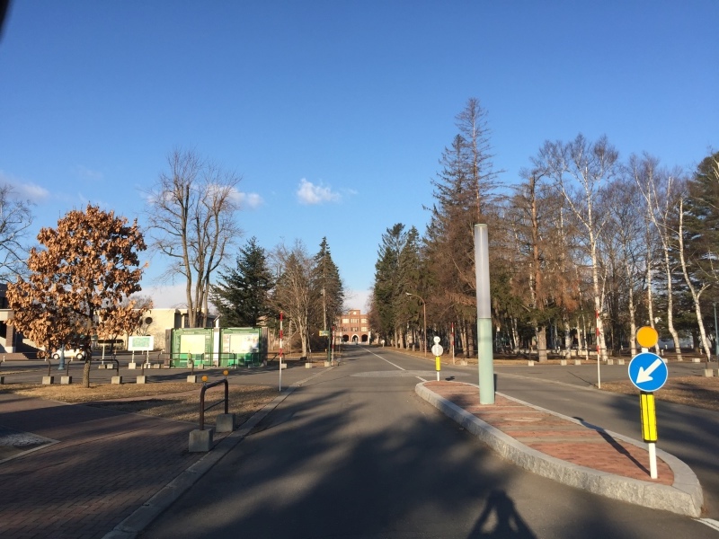 今日は帯広ジョグ_f0310282_19003007.jpeg