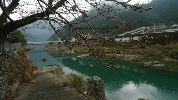 c0212083_20142262.jpg