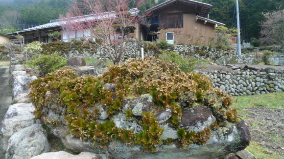 c0212083_20143080.jpg