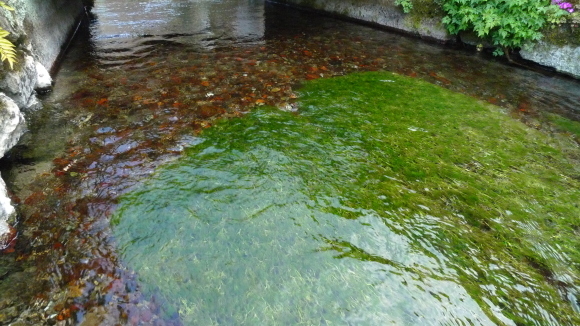 c0212083_20152640.jpg