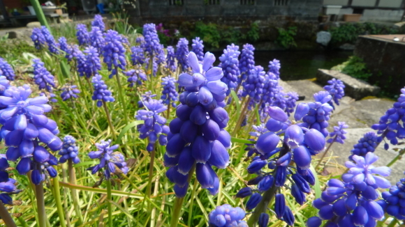 c0212083_21080831.jpg
